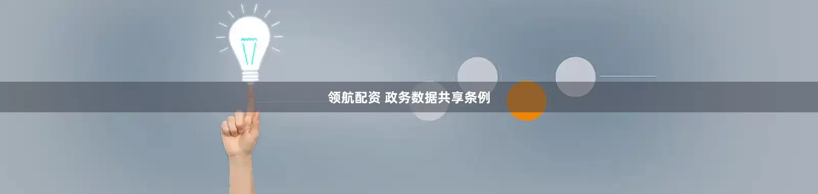 领航配资 政务数据共享条例